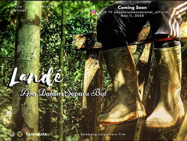 Tim Lamanさんのインスタグラム写真 - (Tim LamanInstagram)「“Hope in Rubber Boots”. Halo untuk semua teman-teman Indonesia saya. Saya ingin mengundang Anda untuk menonton film pendek tentang tempat yang sangat istimewa di Indonesia, tempat saya banyak menghabiskan waktu, yaitu Taman Nasional Gunung Palung. Silahkan cek ke @ayoketamannasional_official dan tonton film "Lande, asa dalam sepatu  bot", dan pastikan kalian untuk kasih Like dan komentar dan tunjukkan dukungan Anda untuk Gunung Palung, salah satu harta karun keanekaragaman hayati di Indonesia.  Hi everyone, please check out the new short film produced by my friends at Gunung Palung National Park in Indonesia by checking their feed @tanagupa.  It’s in Indonesian, but even if you don’t speak the language, you will appreciate the visuals.  Gunung Palung is a place where an international team of Indonesian and foreign researchers have been collaborating to study Indonesia’s amazing biodiversity for over twenty years.  The title character, Lande, has worked at this field camp since 1994.  That’s why the film is called “Lande, Hope in Rubber Boots”. @ayoketamannasional_official  @tanagupa #gunungpalungnationalpark #Indonesia.」5月12日 4時57分 - timlaman