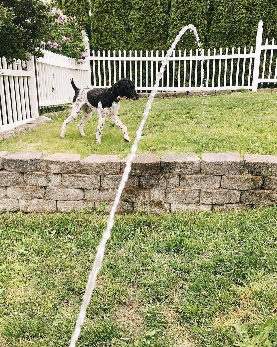Robin May Flemingのインスタグラム：「Still not 100% sure how hoses work.」