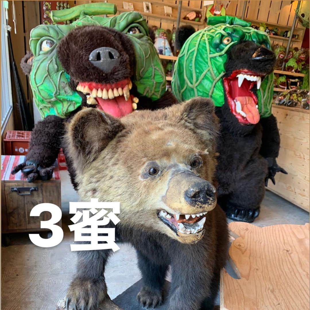 メロン熊【公式】のインスタグラム：「3蜜は危険  #メロン熊 #3蜜 #危険 #ゆるキャラ  #熊 #ソーシャルディスタンス  #北海道 #夕張」