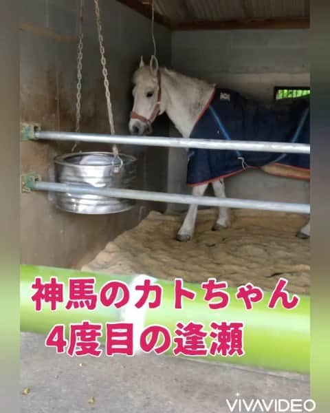 永倉由季のインスタグラム