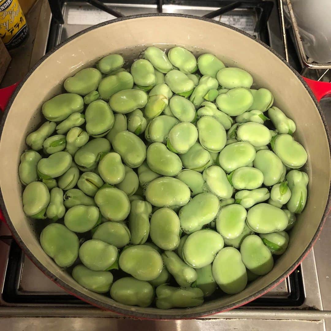 美甘子さんのインスタグラム写真 - (美甘子Instagram)「実家の畑で採れた、そら豆、豆、新玉ねぎが送られてきました。 そら豆はそのまま塩茹でが一番美味しいような気がする。豆ご飯も炊きました。皮むきを夫婦で一緒にするのも良い時間でした。 新玉ねぎはまた明日。 ＃そら豆 #そらまめ #豆ご飯」5月11日 21時47分 - rekish_mikako