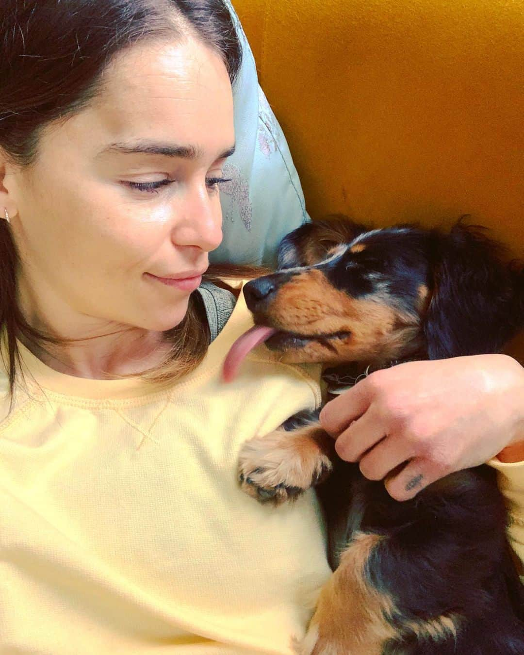 エミリア・クラークさんのインスタグラム写真 - (エミリア・クラークInstagram)「The 3 stages of Ted’s love language. Licking is introduced at a distance. Zero understanding of human kiss. Screw it gimme your face.  #sleepeatrepeat #🥰 #🕺」5月11日 21時56分 - emilia_clarke