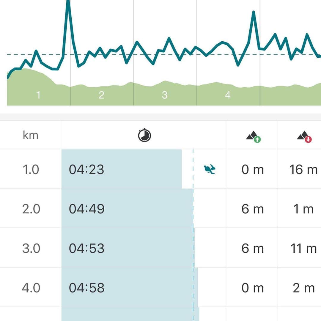 DJ MIYAさんのインスタグラム写真 - (DJ MIYAInstagram)「こんばんは(^ ^)ニャリリーン💓今日も、5km走り込みの日でしたー！❤️( ◠‿◠ ) . 5kmを24:05❤️ .  今日もtrail run風のガタガタした傾斜コース❤️ . .  5km 走りましたー！！❤️ .  トレイルランも、好き❤️❤️ .  5km 24:05分钟💓  筋肉量も適度に増やしたし、身体が軽いので 走るのが、ほんっとに楽しい💓💓(o^^o) .  今日はちょっとだけ、コウモリが飛んでたーー！やばす笑笑⭐︎❤️ . 田んぼの真ん中で、トランペット🎺吹いてる人がいて、めっちゃいい音色だった💓❤️ . .  人もほとんどいないし快適(o^^o) . .  肉体を強化しています❤️筋肉、身体のバランスを整えてメンタルも鍛えよう！！！！（╹◡╹）❤️ . . . 楽しかった💗💓❤️ . 今日のwear→ @adidastokyo . . . #ランニング大好き  #running #有酸素トレーニング #有酸素 #走るの好き #健康  #フィットネス女子 #ランニング好き  #スポーツ #筋肉女子 #筋トレ女子 #トレーニング #ワークアウト #workout #ワークアウト女子 #フィットネス  #走りましたグラム  #ランニング #スポーツウェア #ヨガレギンス  #フィットネスウェア #トレーニングウェア #ビュースタグラマー #今日のコーデ #インスタグラマー  #腹筋女子  #美容 #日本体育大学 #日体大 #すっぴん」5月11日 22時04分 - dj_miya