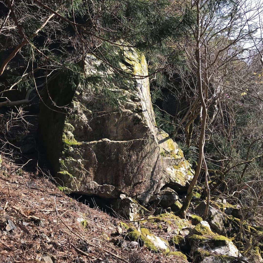 濱田健介さんのインスタグラム写真 - (濱田健介Instagram)「I uploaded climbing video everyday for 10 days on my YouTube channel. You can jump from my profile. Please watch and subscribe. I found the boulder when I was driving. But it was no good.. I hope to enjoy climbing again.  Stay Homeで何かすることはないかと思い、昨日までの10日間、毎日YouTubeに過去のクライミング動画を簡単に編集してアップしました。懐かしのロックランズやらやら、ほとんど何処にも出してない映像なので、是非観てみてください。そして、チャンネル登録してくれ。。 インスタのプロフィールにリンクしてあるので、そこからいけます。  話変わりますが、コロナで緊急事態宣言中ですが、そろそろ少しずつクライミングも再開していければ、、と思っています。 何甘いこと言ってるの？？と思う方も多いと思います。しかし、このまま何もかも自粛自粛ではクライミング業界は終わってしまうんじゃないかと思えてしまいます。（俺が思ってるだけで、そんなに弱くない？？） 営業を再開したジムもあれば、今後再開する予定のジムもあると思います。そんなジムに何か出来ることがあるとすれば、やはりそのジムを利用する、ことだと思います。もちろん感染を拡大させないために最大限心がける大前提ですが。 クライミング始めて17年。気づけばセッターになって、クライミングに飯食わせてもらってる身なので、他人事ではありません。今、俺に何が出来るかわかりませんが、何か出来ることがあるならやります。コロナが落ち着いて、少し立ち直ってきたらまたセットも呼んでください。 人との接触を断つ、減らさなければならない、この時代だからこそ、人との繋がりが大事になってくるのかな、と思います。 ということでチャンネル登録してくれ。 自分でも考えがまとまらない文章になってしまい失礼しました。  写真はドライブ中に見つけた岩で、特に関係ありません。だいぶ脆かったのでイマイチかな。」5月11日 23時21分 - hamaken87