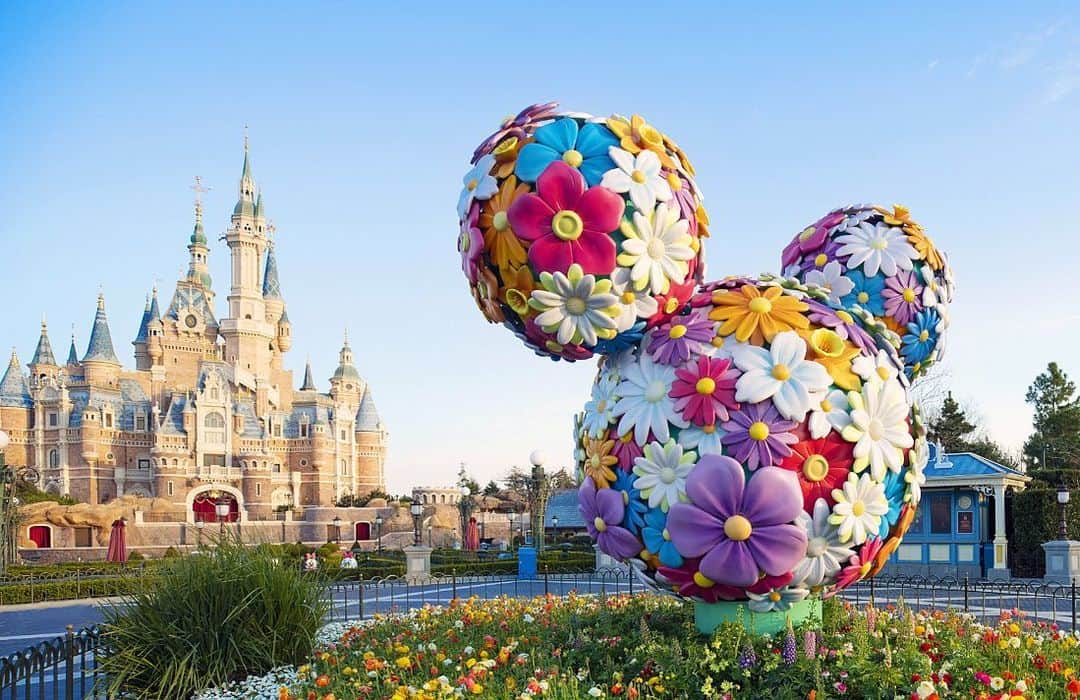 ミッキーマウスさんのインスタグラム写真 - (ミッキーマウスInstagram)「Today marks the reopening of Shanghai Disneyland! 💫 Cast members are excited to welcome guests and fans once again. Read more at the link in bio.」5月12日 1時52分 - mickeymouse