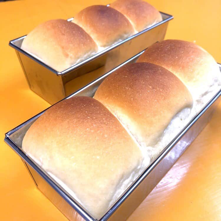 兵頭彰さんのインスタグラム写真 - (兵頭彰Instagram)「ミニ食パンをこしらえたはずが、なんだかちょっと違う🍞  #bjw  #大日本プロレス #大日道場飯」5月12日 3時09分 - hyodo_bjw