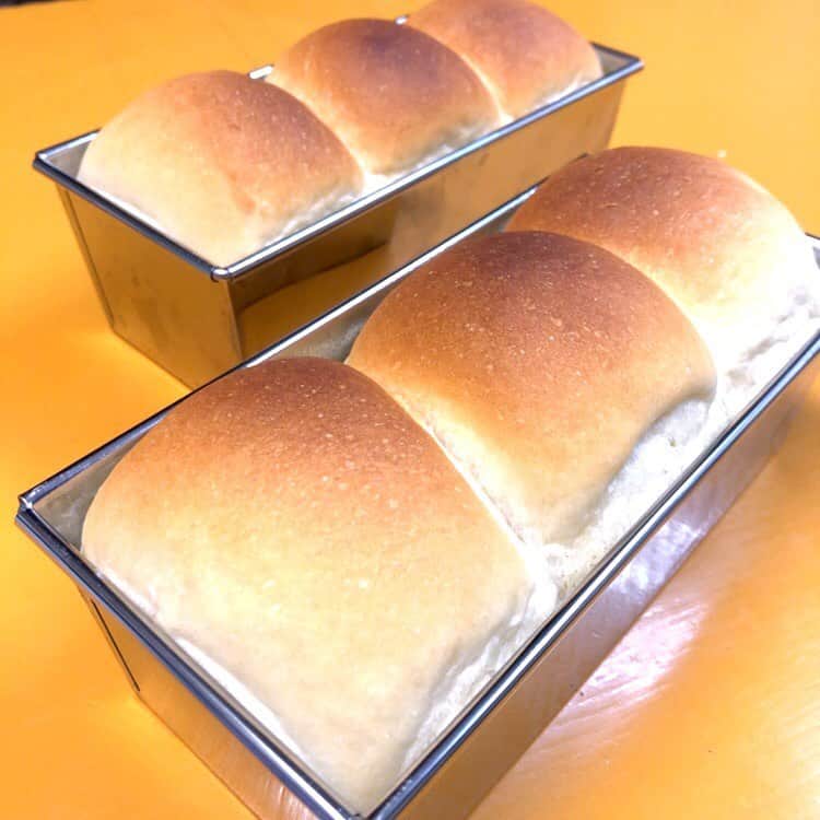 兵頭彰のインスタグラム：「ミニ食パンをこしらえたはずが、なんだかちょっと違う🍞  #bjw  #大日本プロレス #大日道場飯」