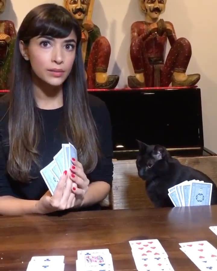 ハンナ・シモンのインスタグラム：「Mother’s Day has me thinking about these sweet cats that have been a part of my life for decades now... I have a billion photos like any helicopter parent but this video of Frankie who is blind, incredibly stunted because of being starved as a baby and asthmatic still kicking my ass at cards is my favourite. My entire camera roll of him and his brothers is at @havecatzwilltravel. Tag your babies’ accounts (cat/ dog/ turtle/ llama/ human) below so I can go down the rabbit hole of cuteness. #catmama xo」