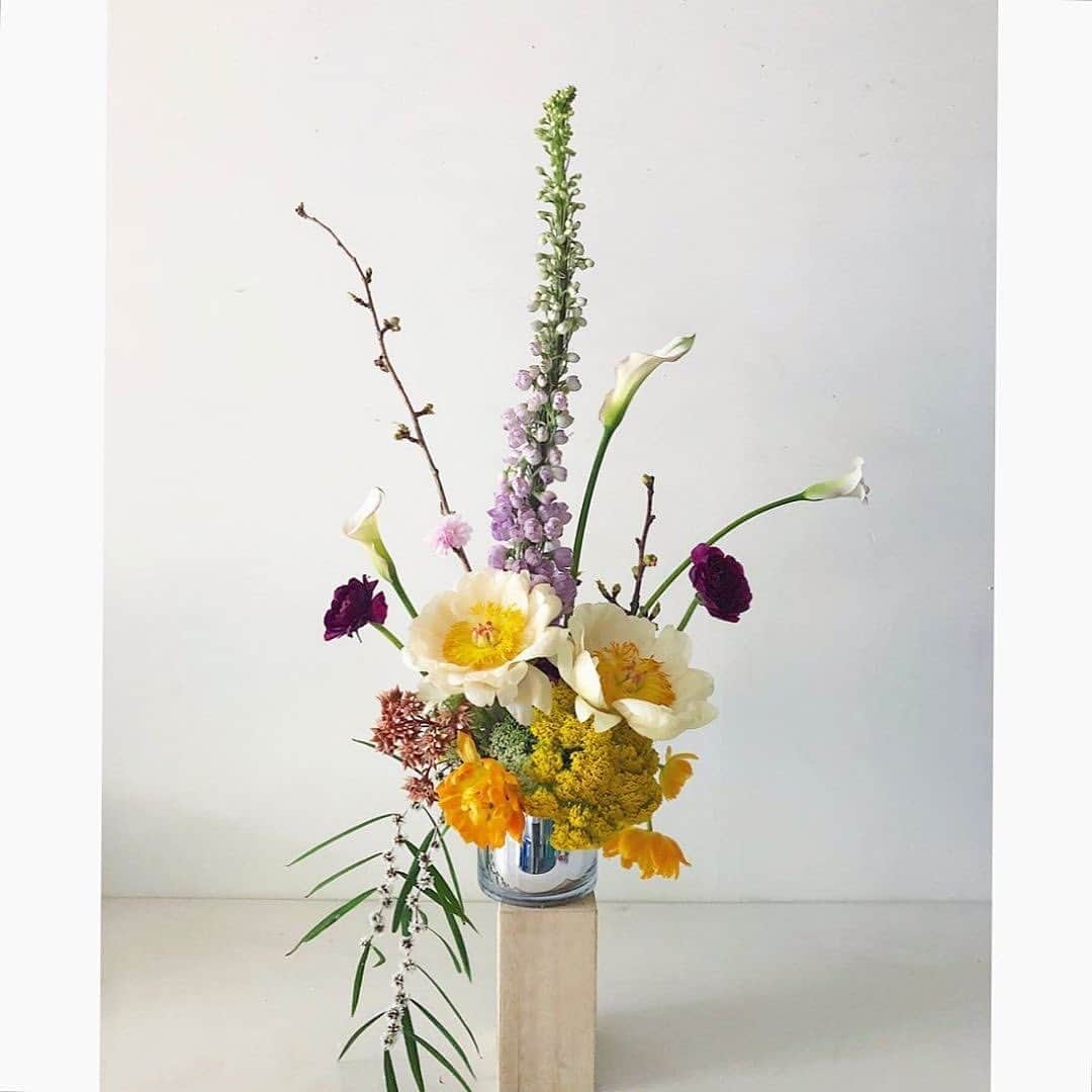 サキャスティックのインスタグラム：「Happy Monday from @shedesignsla」