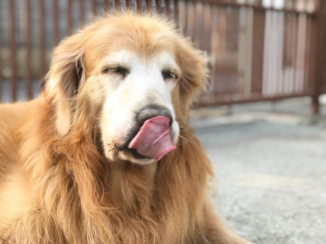 Hoykong&Plamuekのインスタグラム：「Funny face 🤪  #hoykong #หอยโข่ง」