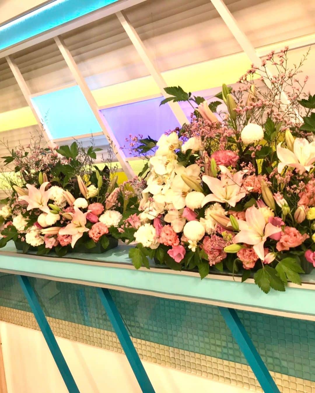 福岡放送「バリはやッ!」さんのインスタグラム写真 - (福岡放送「バリはやッ!」Instagram)「🍑5月11日〜のスタジオ装花🍑  森林浴が楽しい新緑が香る初夏のように、みずみずしい優しげな桃色のお花で整え、制作いたしました。  by THE MANGROVE #takeshithemangrove  #すたーちす #スターチス #ピンポンマム #カンパニュラ #ドウダンツツジ #トルコキキョウ #スカシユリ  #春の花　#初夏の花　#スタジオ装花 #装花　#フラワーアレンジメント　#フラワーアレンジ　#花が好き #花を飾る #花が好きな人と繋がりたい #花は癒し #花を楽しむ #花のある暮らし #おしゃれ花屋　#福岡おしゃれ花屋 #バリはや」5月12日 6時54分 - barihaya
