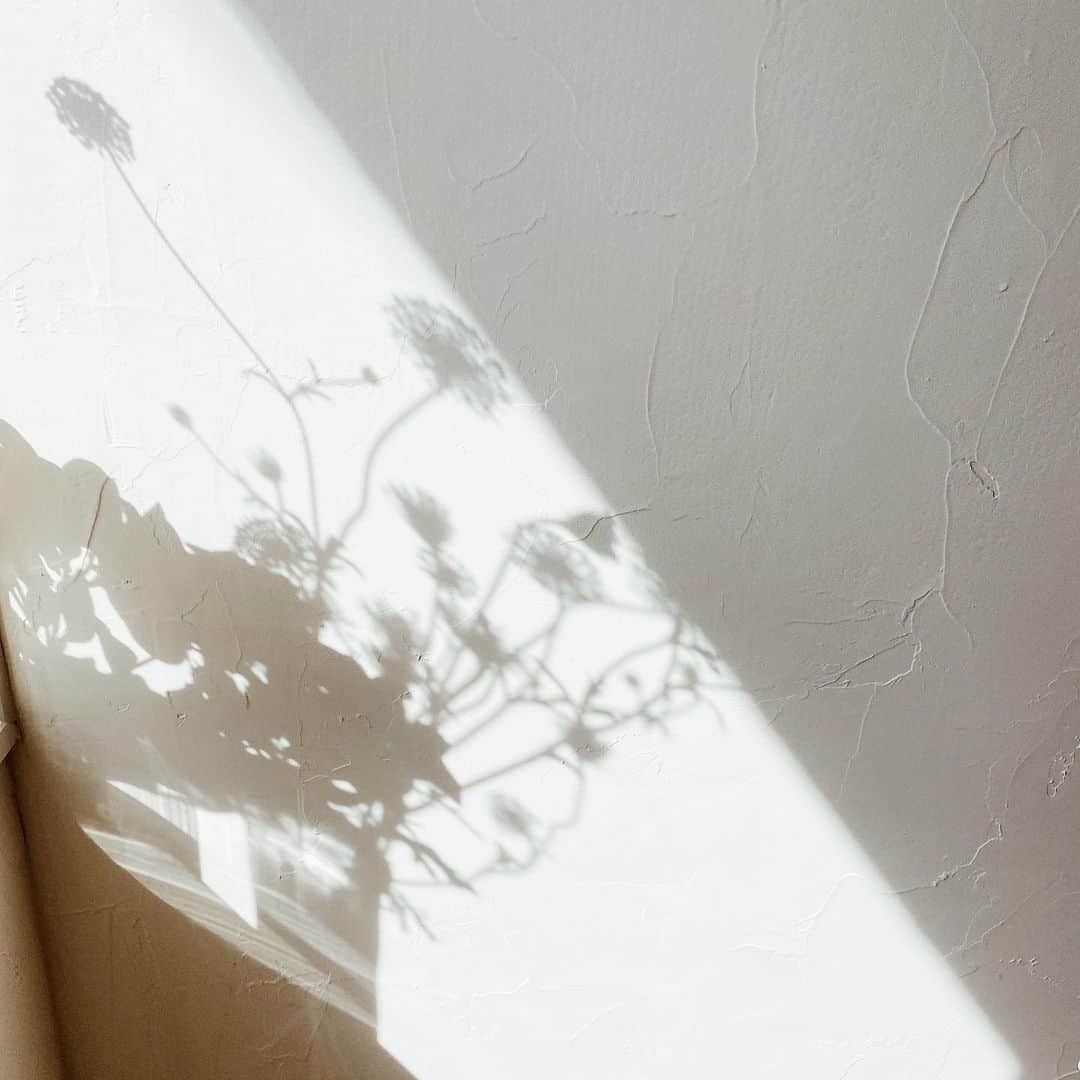 Yuiのインスタグラム：「. morning refraction and reflection」