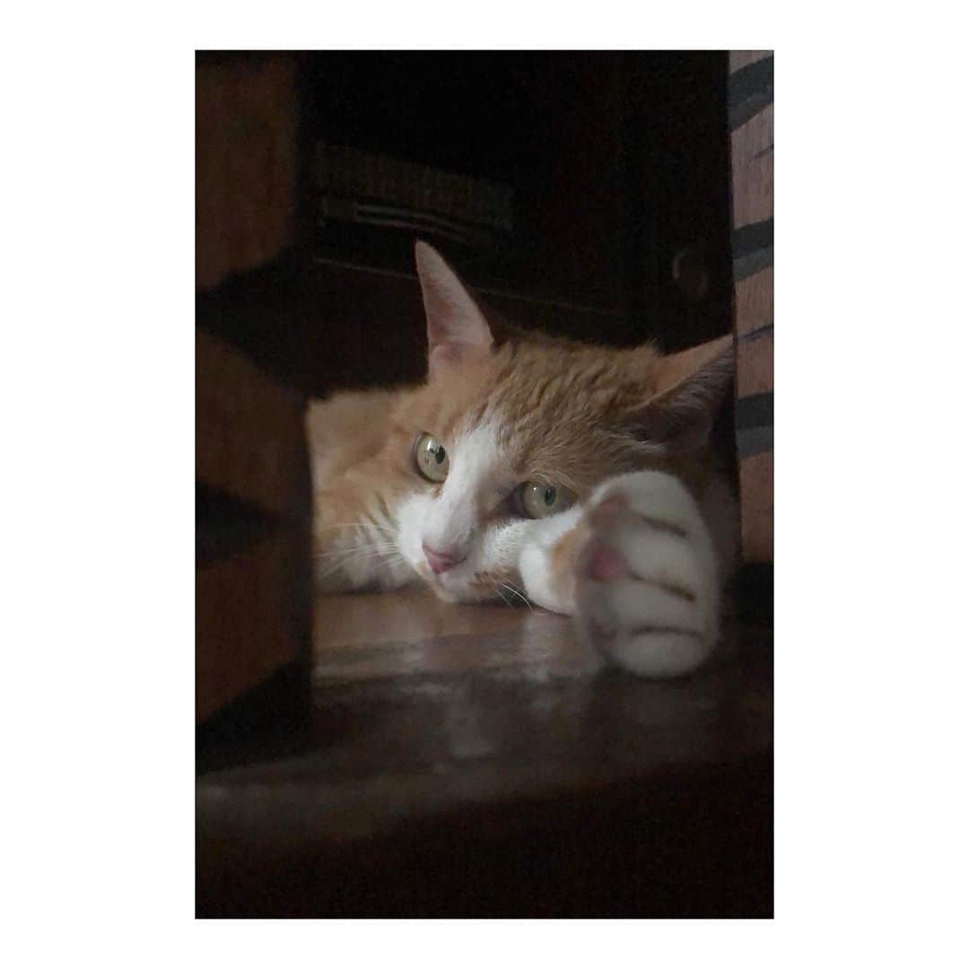 瀬駒妃のグルメインスタ