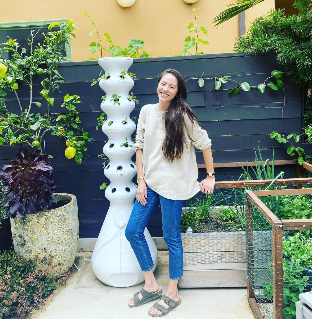 道端ジェシカのインスタグラム：「One day late but never too late💚 Proud to be a part of #sustainablesunday @hashtagsustainablesundays  @lacompost @compostable.la  Here are some of my sustainable actions I take daily.  1) I’ve been growing our own organic veggies and fruits in our backyard but due to the circumstance we are in right now we wanted to try @lettucegrow ! Very easy, low maintenance, fresh organic vegetables & herbs to feed my family along with my veggies on edible bed.  2) My super happy spring onion I sprouted from store bought spring onion. I love regrowing whenever I can. Again, super easy, sustainable and delicious!  3) After seeing Monique’s (@lacompost ) post I decided to start making my own veggie stock with the vegetable scraps THEN compost. It’s delicious and super satisfying for mind and body.  4) One of the things I’m feeling very passionate and want to become better at is #lowwasteliving We still use kitchen paper (only 100% recycled one) but when ever I can, I use the washable cloth that looks & works like regular kitchen papers!  5) My veggies on farm stand growing so beautifully. This is week 2!! 6) My worm compost bin. I started about a year ago and now my 2 and a half year old daughter knows how composting works. When there’s a food scrap in the kitchen, she puts it in the compost bin and says “Worm says Thank you!” 7) My house cleaning products from @supernaturalbeing I love thy it’s in a glass bottle and when it’s finish you can just get the refill solution and mix with water. Not to mention the sense of their products are just divine. I used these along with my homemade citrus vinegar multi purpose cleaning spray around the house.  8) Lastly but not the least, I keep most of the glass jars and bottles in the household as long as there are spaces for them. Over time I’ve saved quite a few so there are many different sizes, shapes, so useful! Reduce - Reuse - Recycle ♻️ 🌏🌱🌊」