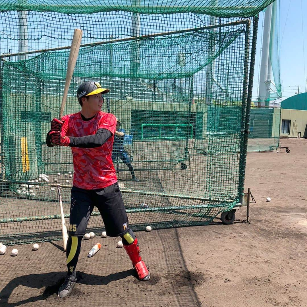 阪神タイガースさんのインスタグラム写真 - (阪神タイガースInstagram)「緒方広報カメラが鳴尾浜の自主練習を撮ってきました！ #小幡竜平 選手　#江越大賀 選手　#熊谷敬宥 選手　#島田海吏 選手　#藤谷洸介 選手　#板山祐太郎 選手　#岡崎太一 選手　#髙山俊 選手　#片山雄哉 選手 #野手　#阪神タイガース　#鳴尾浜 #自主練習」5月12日 10時51分 - hanshintigers_official