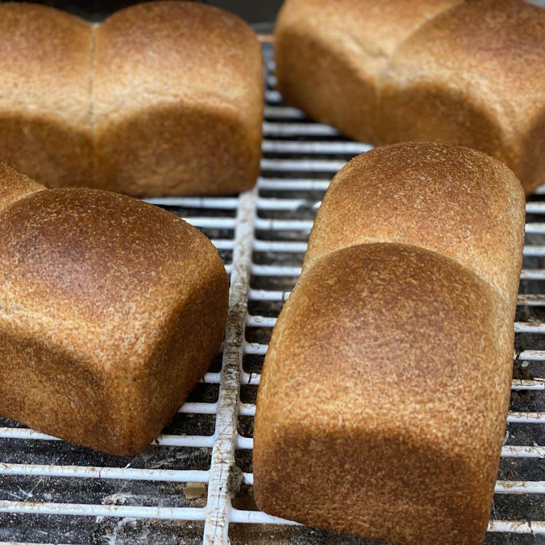 魔女菅原のグルメインスタ