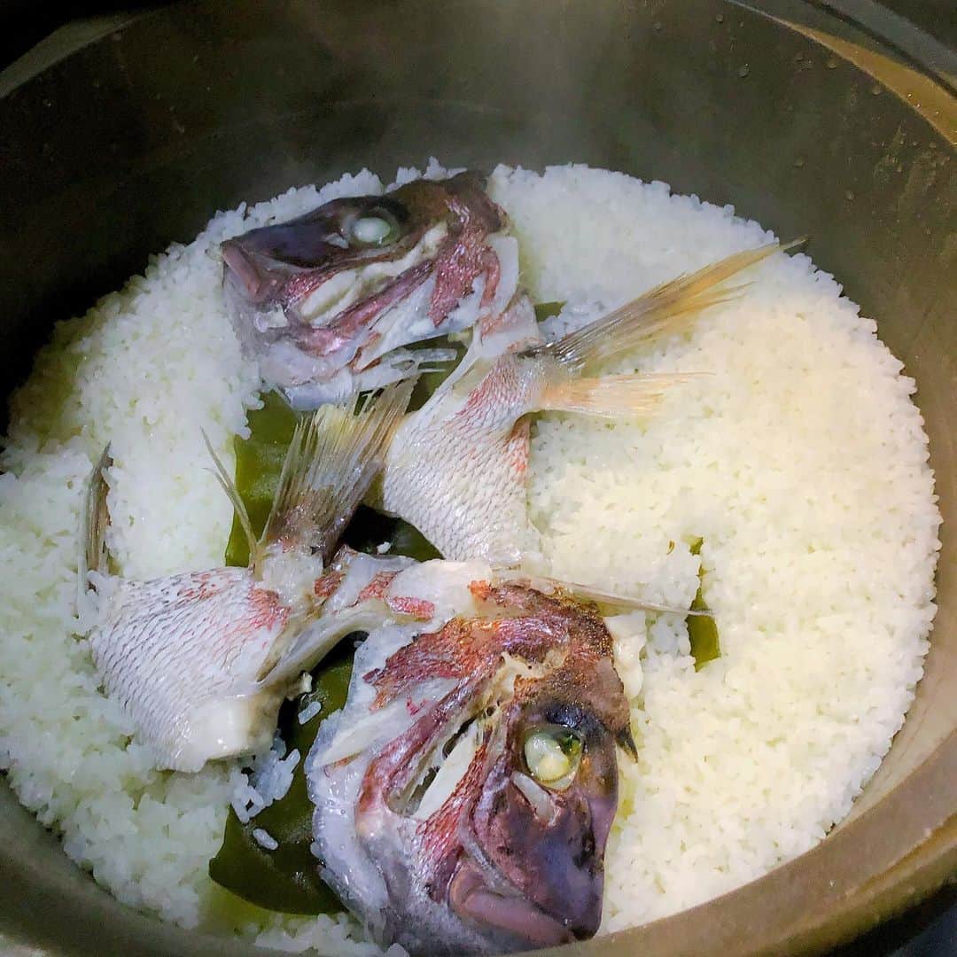 おっきゃがりのインスタグラム：「鯛カレーの鯛めし！ 炊き上がりました！  #鯛カレー　#海鮮カレー　#おっきゃがり　#ランチ　#山椒  #十忠八九」