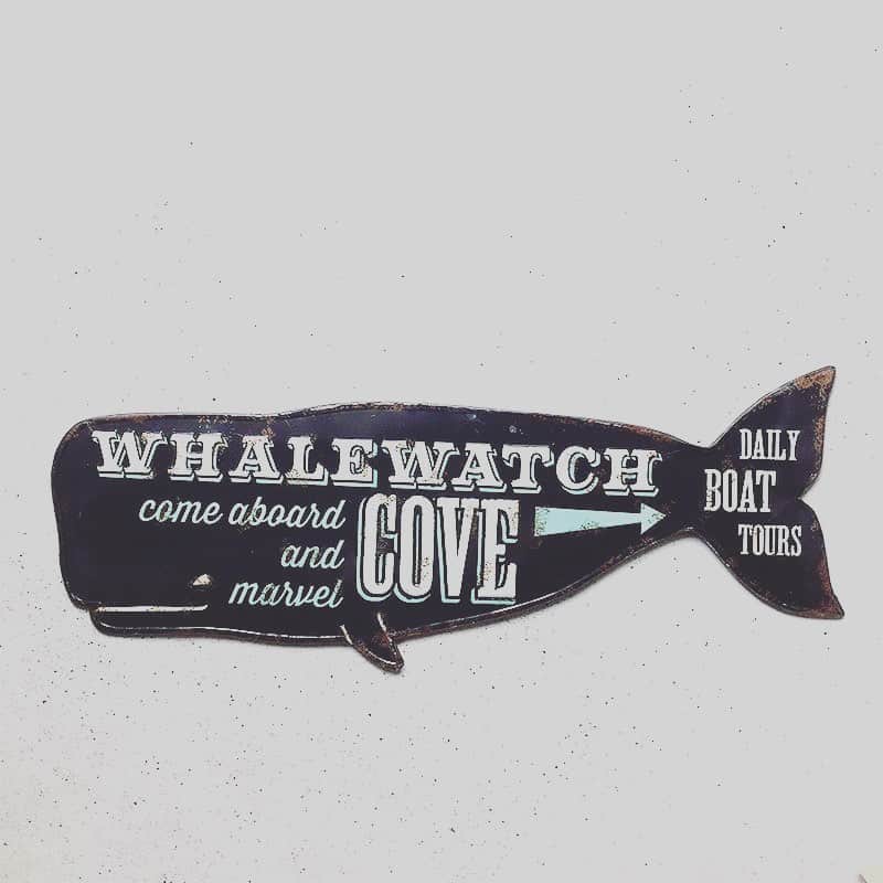 eight o eight のインスタグラム：「. . . ｗｈａｌｅ ｐｌａｔｅ . . . . #beach #sea #beachhouse #beachstyle #beachgirl #california #aloha #hawaii #アロハ #ビーチ雑貨 #ビーチハウス #ビーチスタイル #ビーチライフ #ハワイ#ハワイアン #ハワイ雑貨 #コースタルリビング #カリフォルニア雑貨 #カリフォルニアライフ#カリフォルニアスタイル#雑貨#海 #海を感じる雑貨」