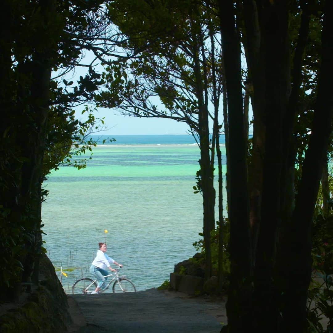フジテレビ「空旅をあなたへ」さんのインスタグラム写真 - (フジテレビ「空旅をあなたへ」Instagram)「今週木曜22:54～の「空旅をあなたへ」は、 アーティスト 平原綾香さんの沖縄空旅です✈️✨ 「旅」と「音楽」をテーマに 番組では素敵な旅を紹介します！  今回は自転車で楽しむ島散歩です。 フクギ並木へ訪れます🚲🍃 幸せの木と呼ばれるフクギの並木。 木洩れ日に包まれながら、 風を感じるひとときです☺️✨ 古いものだと樹齢300年以上、フクギは防風林の役割を果たし、台風から集落を守り続けてきました！  フクギ並木の中には集落やカフェ、その先はシュノーケリングも楽しめる備瀬崎の海がひろがります🏝  沖縄の自然を大満喫できる空旅です。  #フジテレビ  #空旅  #空旅をあなたへ ‪#soratabi‬ ‪#平原綾香 さん‬ #沖縄 #フクギ並木  #備瀬崎  #フクギ並木道」5月12日 13時18分 - soratabi_fuji