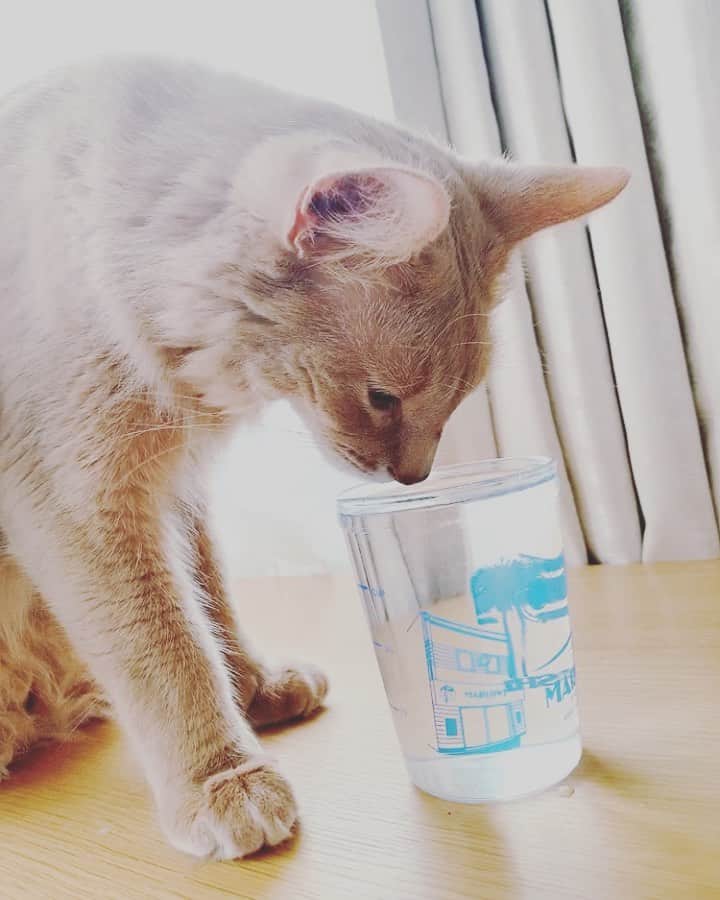 宇月颯のインスタグラム