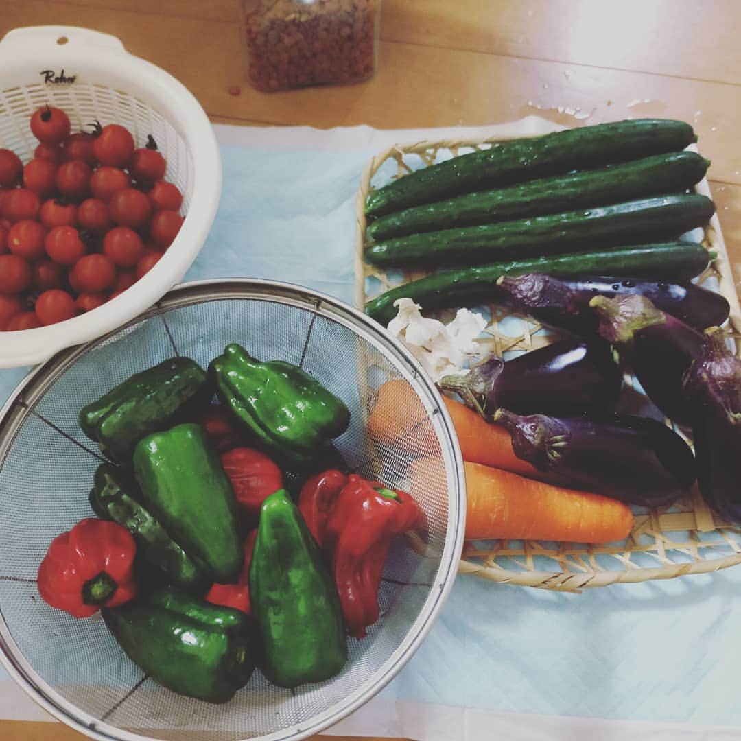 花瀬めぐみさんのインスタグラム写真 - (花瀬めぐみInstagram)「コロナ対策で、買ってきた野菜は、ビニール包装を剥がしてガッツリ洗ってから冷蔵庫にしまうんだけど、なんか高い野菜に見える。  #コロナ #コロナ対策 #コロナ予防」5月12日 13時46分 - megumi_hanase