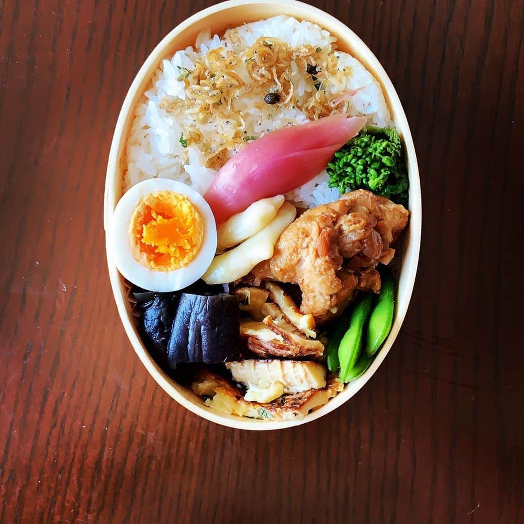 志摩有子さんのインスタグラム写真 - (志摩有子Instagram)「昨日の残りをちょこちょこっと詰めたお弁当。わっぱの弁当箱だとそれなりに見えるから嬉しい。ゆで卵だけ作った。 今日も仕事の旦那さまに。  #アリ弁」5月12日 13時48分 - ariko418