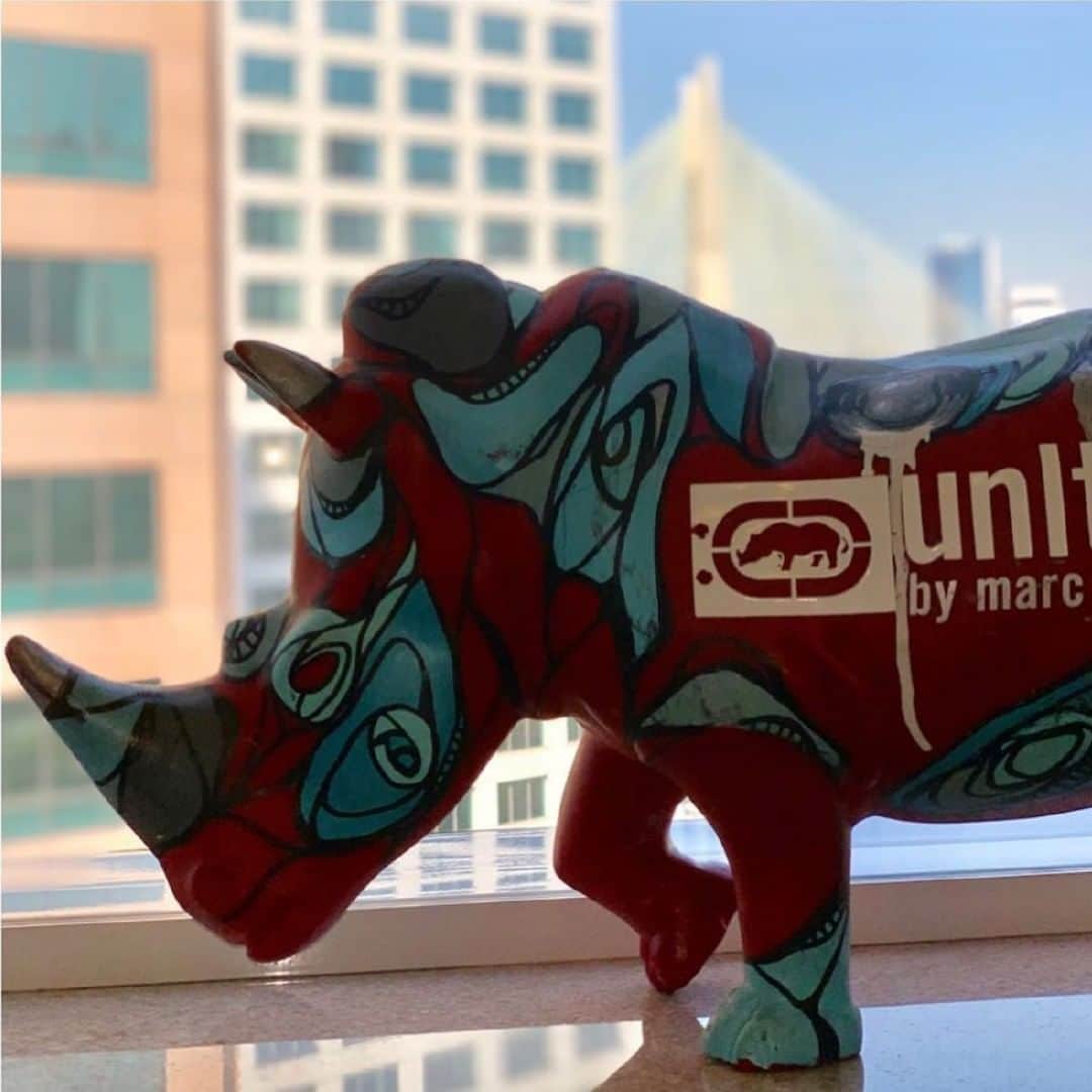 エコーレッドのインスタグラム：「In 🦏 we trust #eckonation」