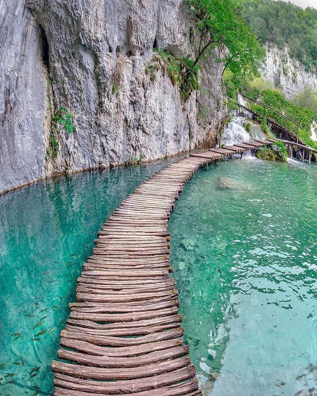 bestvacationsのインスタグラム：「Who’d you walk with here? Croatia. By @kyrenian #BestVacations」