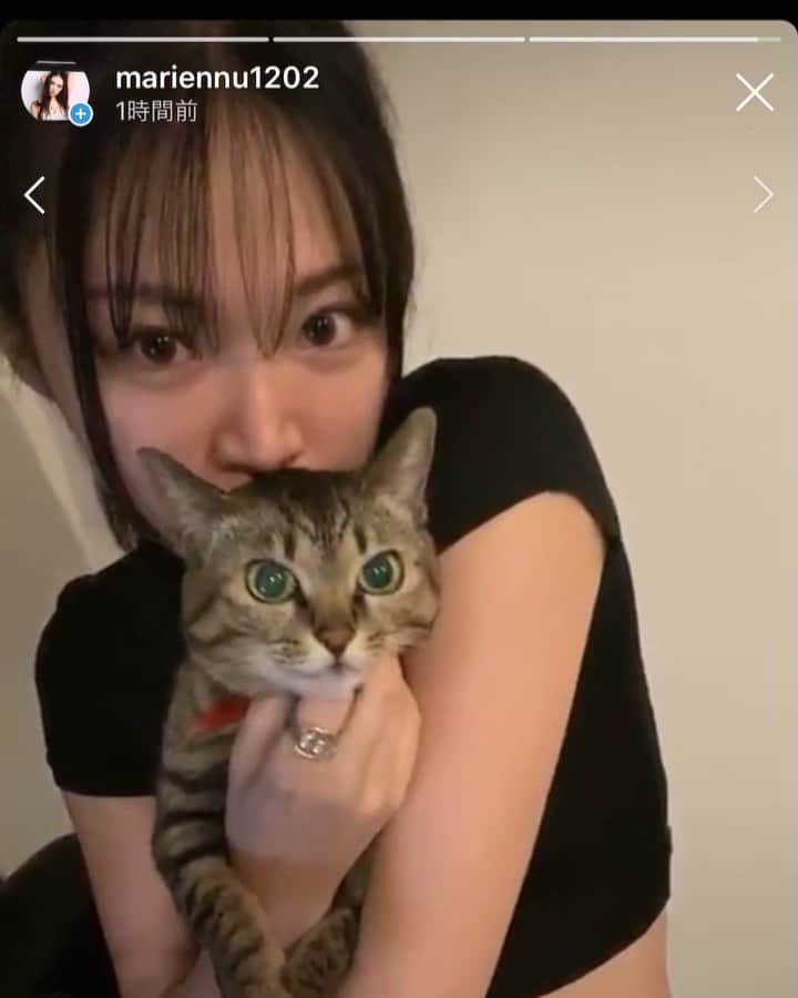 DJ mariennuのインスタグラム：「My boo🐈❤️ 加工したみたいに目が大きい子👀  #親バカ　#cat #ねこすたぐらむ」