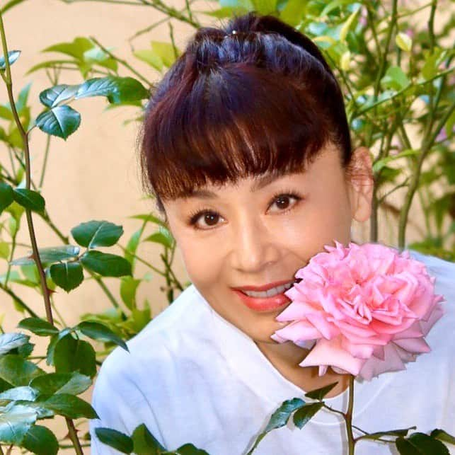 大地真央さんのインスタグラム写真 - (大地真央Instagram)「今日の🌹DAICHIMAO🌹 一番花🌹の花びらが幾重にもなっていて驚きます^o^ 何枚あると思いますか？ そして二番花🌹もすくすくと育ってます😘 愛おしい…💓 #DAICHIMAO🌹 #薔薇 🌹 #ピンク 🌹 #四季咲き  #テラス 🍀🍃🌿🌱☘️ #イタミローズガーデン 🌹#寺西菊雄 さん #家に居よう#自粛#自粛の過ごし方#笑おう #有意義な時間 #大地真央  #MAODAICHI」5月12日 15時42分 - daichimao_official