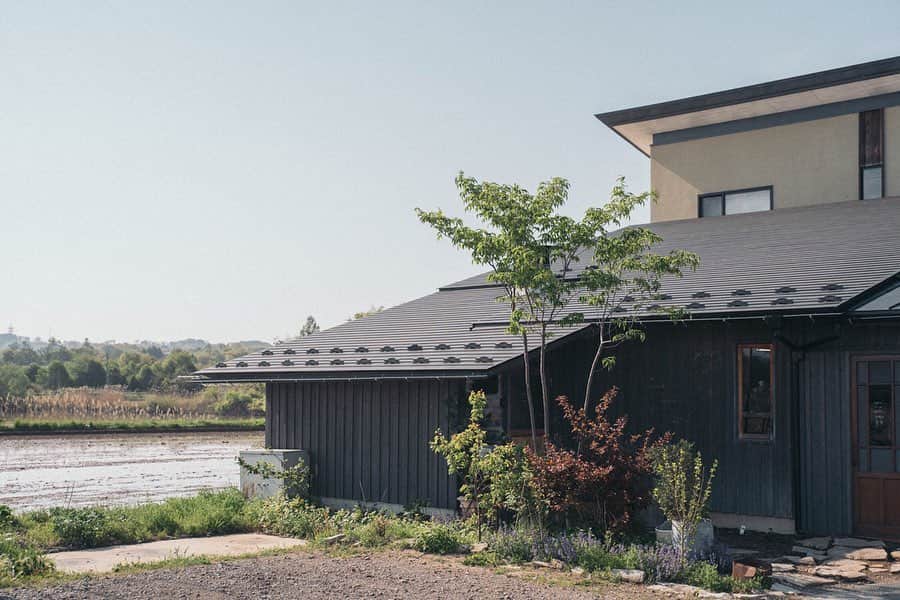 ヒラハルのグルメインスタ