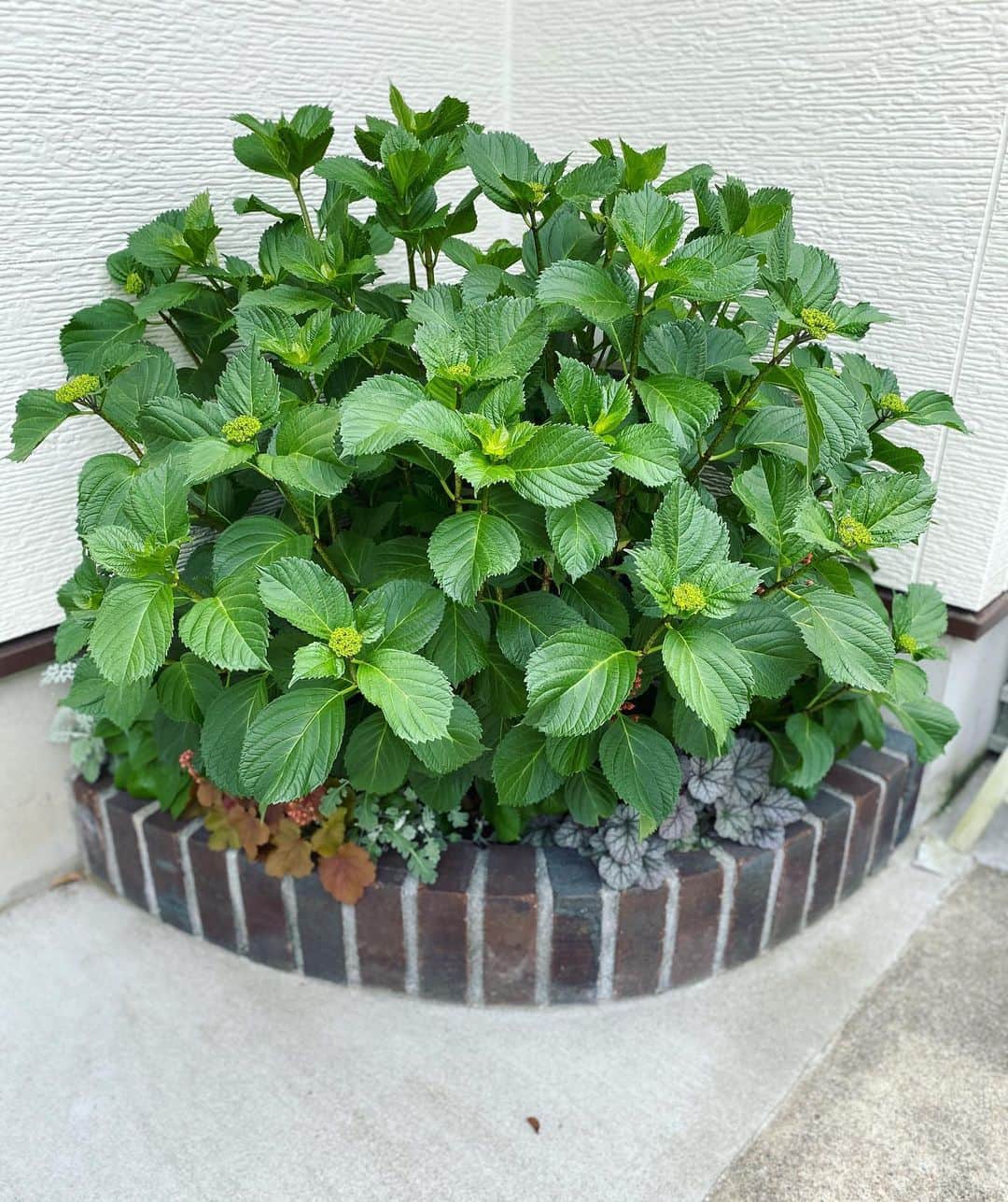 MILLE ECLAT.のグルメインスタ