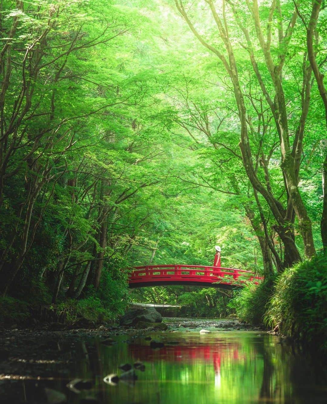 aumoさんのインスタグラム写真 - (aumoInstagram)「. 静岡県の「#小國神社」にて昨年撮影されたお写真📷. 自然に溢れる緑の景色は、見ているだけで癒されます🍀 . Credit：@mai_y718 さん 素敵なお写真をありがとうございます！ . あなたが撮影した素敵な写真に 「#aumo」を付けて教えてください♡ あなたの投稿が明日紹介されるかも♪ . aumoアプリは毎日配信！おでかけや最新グルメなどaumo読者が気になる情報が満載♡ ダウンロードはプロフィールのURLから✔︎ (iPhone&Android版) . . #静岡#静岡観光#小國神社#旅行#絶景#自然#インスタ探検隊 #女子旅#絶景#旅#team_jp_ #igersjp #japan_daytime_view #wu_japan  #bestjapanpics #japan_of_insta #art_of_japan_ #ptk_japan #photo_jpn #lovers_nippon #tokyocameraclub #あなたとみたい景色#フォトジェニック」5月12日 17時03分 - aumo.jp