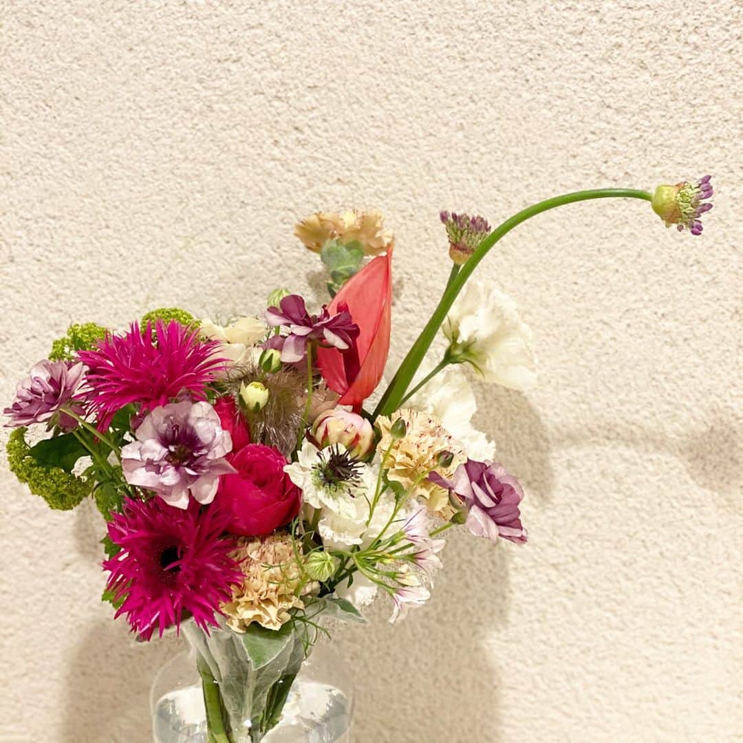 吉田美紀さんのインスタグラム写真 - (吉田美紀Instagram)「・ ・ とっても素敵なブーケをいただきました💐 カラフルでオシャレ♡･:*+. ・ 玄関がぱーっと明るくなりました˚✧₊⁎ ・ @satokoppekawasaki ありがとうございます♡ 川崎さんとお仕事を一緒にさせていただき もう何年もの月日が経ちます。 ・ 楽しく仕事をさせていただけるのも 川崎さんのおかげです♡･:*+. ・ ・ #flowers #colorfulflowers #present #お花 #お花のある暮らし #プレゼント #ありがとうございます」5月12日 17時23分 - miki__yoshida