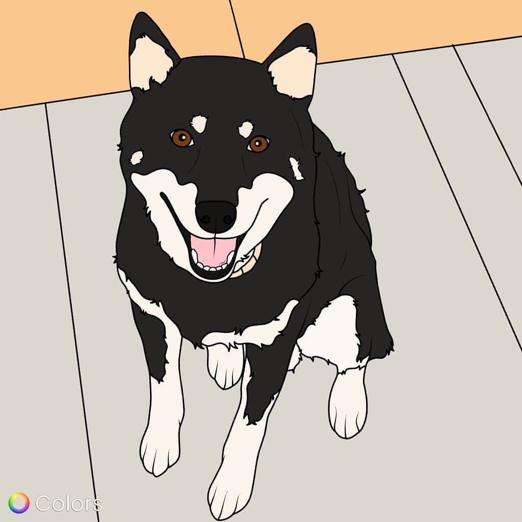 上原健太のインスタグラム：「#colors_appさんがウチの愛犬の塗り絵を作ってくれました！ 皆さん良かったら塗り絵やってみてください！笑  #塗り絵#アプリ#柴犬#colors_app」