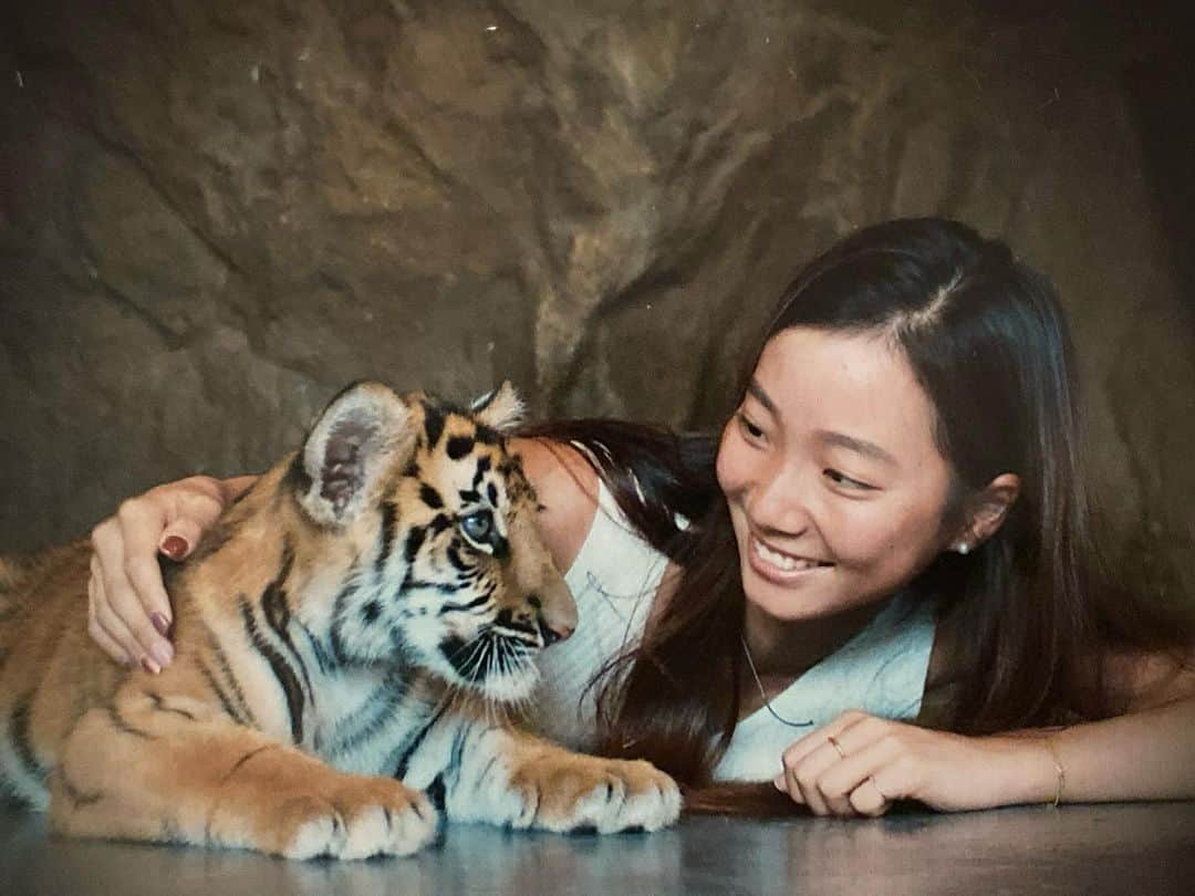 小堀桃子さんのインスタグラム写真 - (小堀桃子Instagram)「. . . 🐯 . . . #タイ #thailand #虎 #虎の赤ちゃん #トラ #tiger #tigerbaby #huahin #huahinsafaripark #ホワヒン #過去ピク  #早く終息しますように」5月12日 20時48分 - kobo_mo