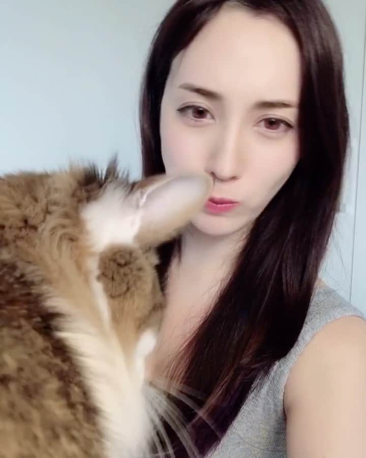 眞木美咲パメラのインスタグラム
