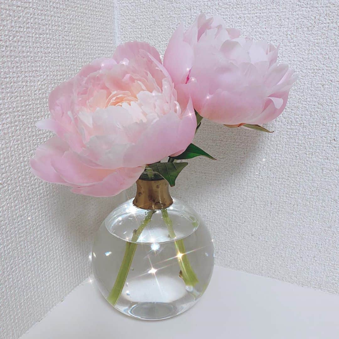 斉藤麻衣のインスタグラム：「。 芍薬。 。 。 。 。 。 。 。 #大好きなお花 #芍薬 #きれいに咲きました #まあるい花びんもお気に入り #花のある生活 #今週末はお任せのお花が届く予定 #人気で1週間待ち」