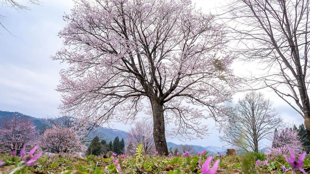 山人のインスタグラム