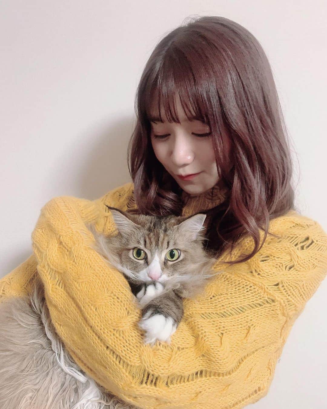 星名美怜のインスタグラム