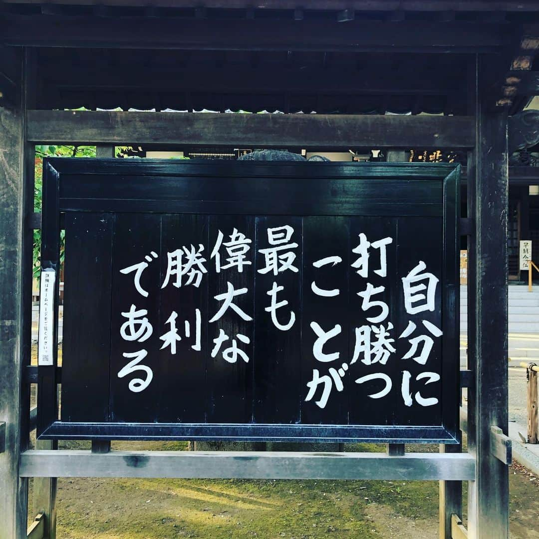 橋本塁さんのインスタグラム写真 - (橋本塁Instagram)「おはようございます！朝ラン終了！ 今日は快晴で走りやすかったです！ 今日は暑いので熱中症にお気をつけて！  #stingrun #朝ラン #玉ラン #adidas #adidasultraboost  #run #running #ランニング　#心身ともに健康に　#今日の格言」5月13日 8時46分 - ruihashimoto