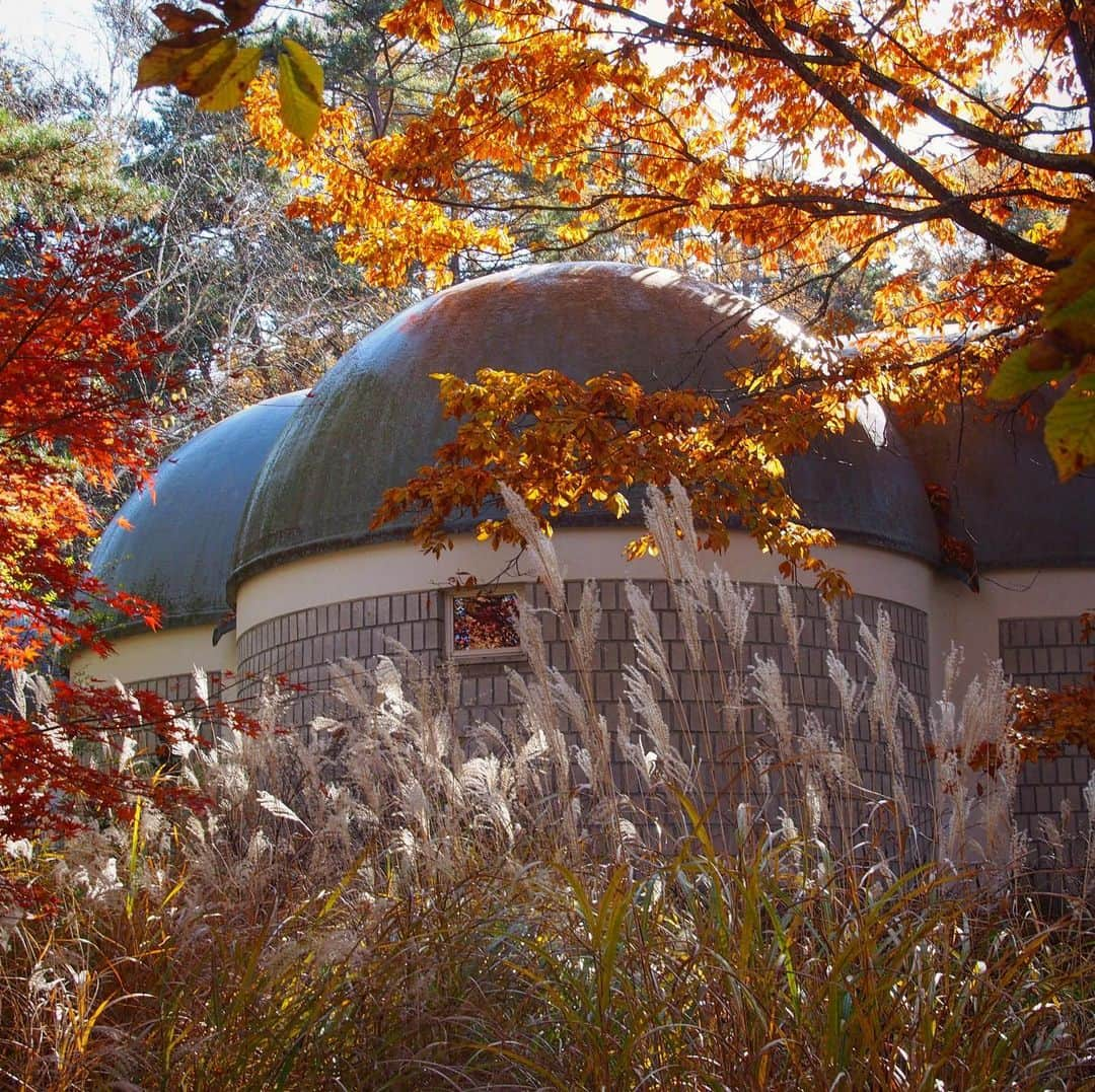 japantripのインスタグラム：「#思い出トリップ #八ヶ岳美術館  #遺跡 #日本遺産 #譽田亜紀子 #縄文  #長野県  #星降る中部高地の縄文世界  #myunseenjapan  #unseenjapan  #unseenjapantrip  #unseenjapan🇯🇵 #myfavoriteplace  #原村  #instatrip  #カメラ女子  #カメラ女子旅  #カメラ好きな人と繋がりたい  #カメラ好き  #カメラ旅 #tokyocameraclub  #tokyocameragirls  #東京カメラガールズ #japantrip #japantravel #instapic  #unseenjapanphoto  #unseenjapantrip #myfavoriteplace  #myfavorite」