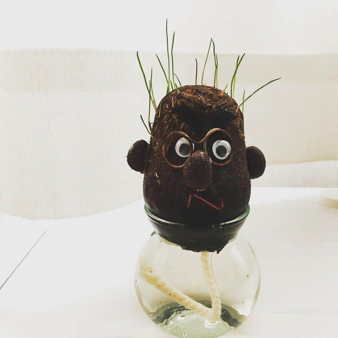大森美優のインスタグラム：「ボブちゃん頑張ってます。 🌱🌱🌱」