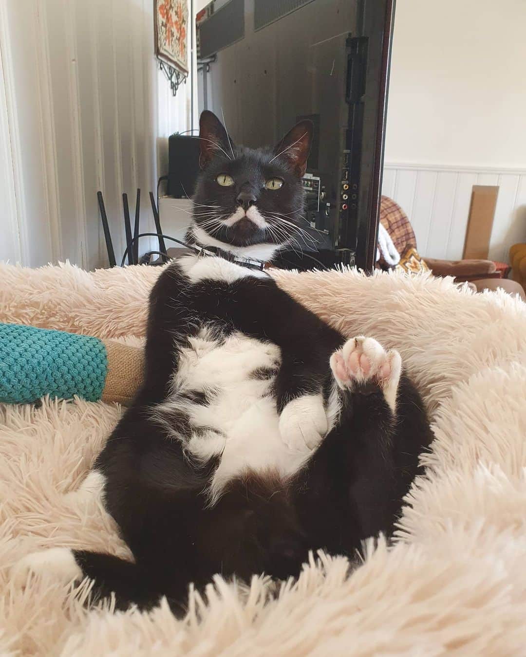 のインスタグラム：「This one is for the ladies out there 😏 How do you like my manspreading skills?」