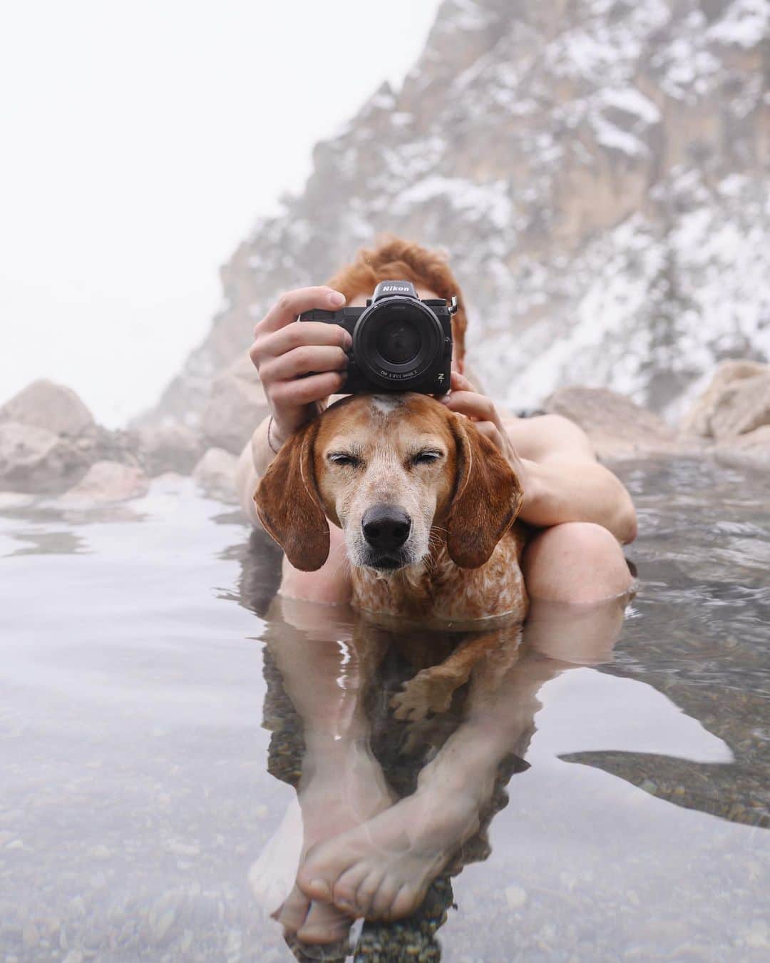 マディのインスタグラム：「We've joined team @NikonUSA (and I get to give away a Z6 camera!) Pumped to be shooting on their mirrorless Z system, it's the most exciting camera I've had my paws on. For the past 3 months it’s all I’ve been shooting on, actually all my posts here have been with the Z 7. Loving the ergonomics (fits my hands great), 45 megapixels (plenty to crop), and the right sized f/1.8 lens lineup Nikon has.  AND the best part is I get to give away a brand new Nikon Z 6 camera kit to one of ya'll! It's a lovely camera and will be an incredible tool to create with. Creating images and sharing how you see the world is so important in this time of social distancing . So, if you're feeling stirred up to create we'd love to help make that happen.  All you have to do enter is leave a comment below on an idea of project you'd love to shoot with this incredible camera! We'll pick a winner in one week! #ZCreator」