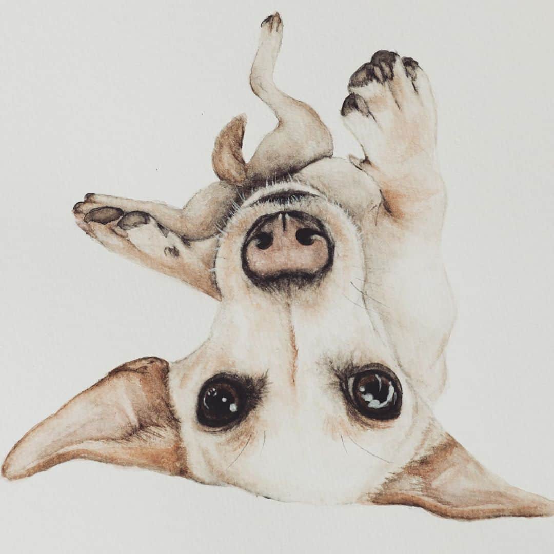 ローレン・コンラッドのインスタグラム：「@alexzmakesart painted our little Daisy on an IG live for @laurenconradco and it just arrived in the mail! She’s just so good...」