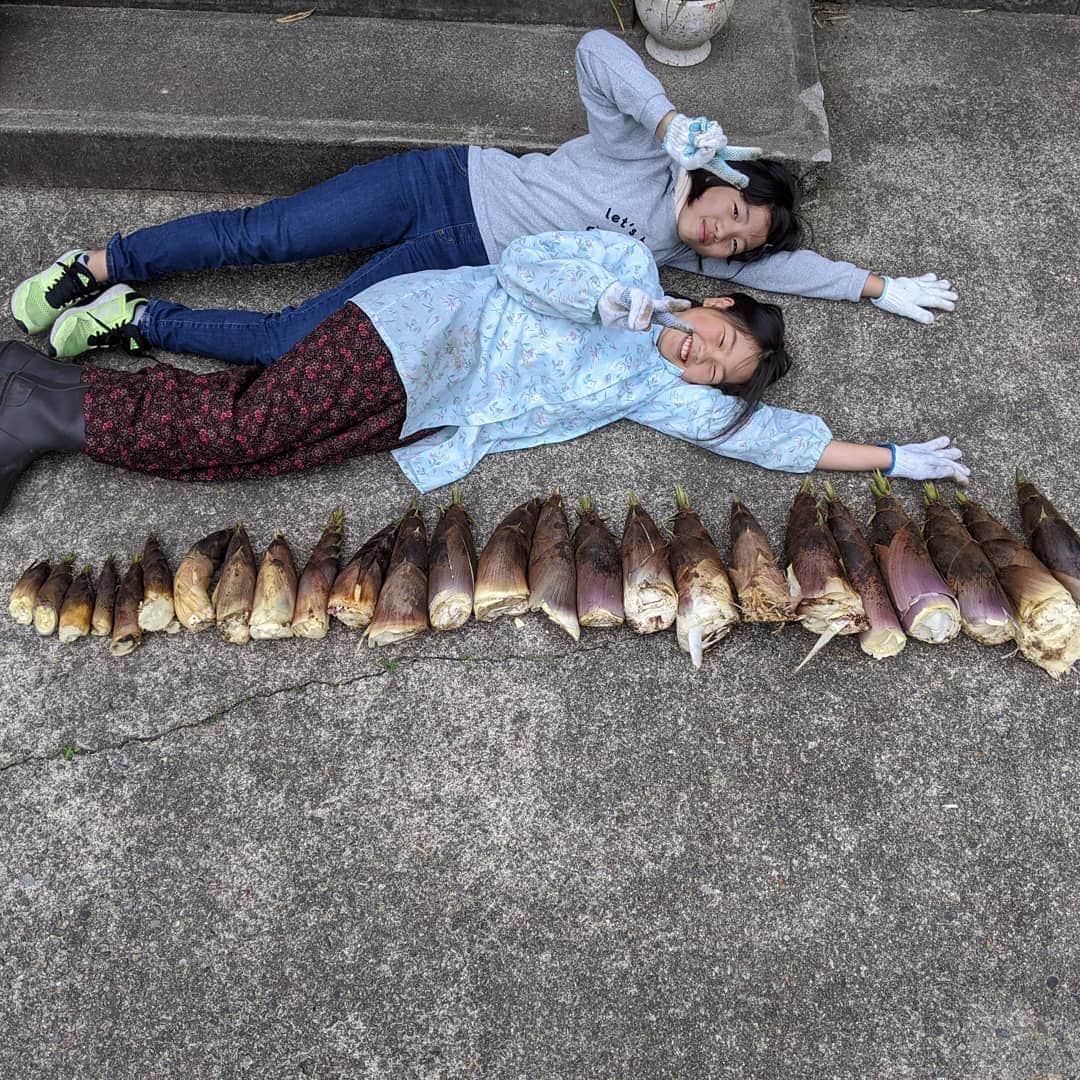 ホテルパシフィック金沢さんのインスタグラム写真 - (ホテルパシフィック金沢Instagram)「【宝探し】 今日は、子供たちと実家の裏山で山菜取り。 宝探しをするように楽しんでました。 休校中の子供たちにとって、山は学びの宝庫!  #hotelpacific #hotelpacifickanazawa #ホテルパシフィック #ホテルパシフィック金沢 #ホテル #hotel #instatravel #renovation #リノベーション　#石川 #金沢 #kanazawa #ishikawa #japan #jpn #山 　#山菜 　#宝探し 　#実家　#田舎 　#裏山」5月13日 4時29分 - hotel_pacific_kanazawa