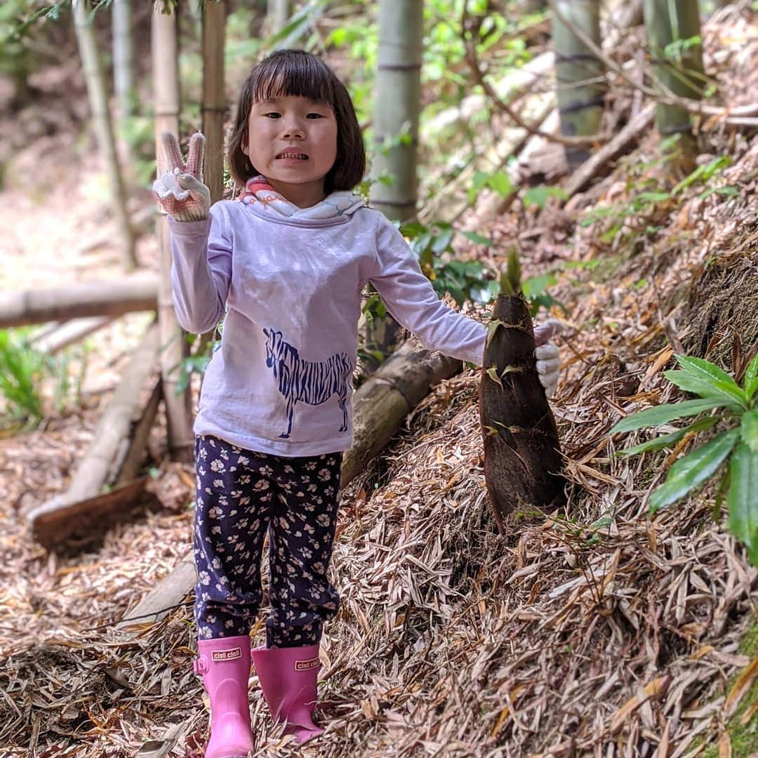 ホテルパシフィック金沢さんのインスタグラム写真 - (ホテルパシフィック金沢Instagram)「【宝探し】 今日は、子供たちと実家の裏山で山菜取り。 宝探しをするように楽しんでました。 休校中の子供たちにとって、山は学びの宝庫!  #hotelpacific #hotelpacifickanazawa #ホテルパシフィック #ホテルパシフィック金沢 #ホテル #hotel #instatravel #renovation #リノベーション　#石川 #金沢 #kanazawa #ishikawa #japan #jpn #山 　#山菜 　#宝探し 　#実家　#田舎 　#裏山」5月13日 4時29分 - hotel_pacific_kanazawa