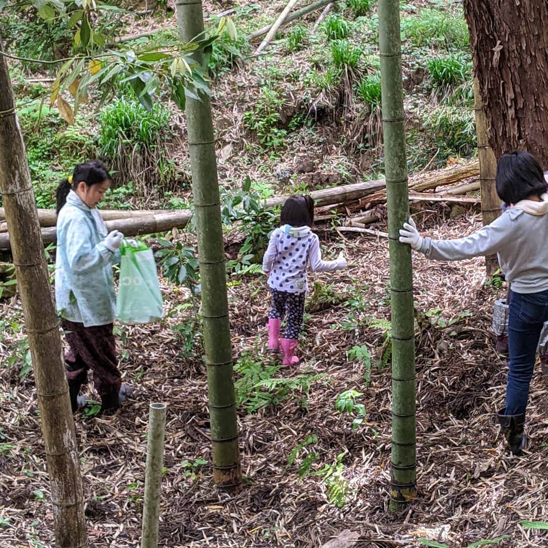 ホテルパシフィック金沢さんのインスタグラム写真 - (ホテルパシフィック金沢Instagram)「【宝探し】 今日は、子供たちと実家の裏山で山菜取り。 宝探しをするように楽しんでました。 休校中の子供たちにとって、山は学びの宝庫!  #hotelpacific #hotelpacifickanazawa #ホテルパシフィック #ホテルパシフィック金沢 #ホテル #hotel #instatravel #renovation #リノベーション　#石川 #金沢 #kanazawa #ishikawa #japan #jpn #山 　#山菜 　#宝探し 　#実家　#田舎 　#裏山」5月13日 4時29分 - hotel_pacific_kanazawa