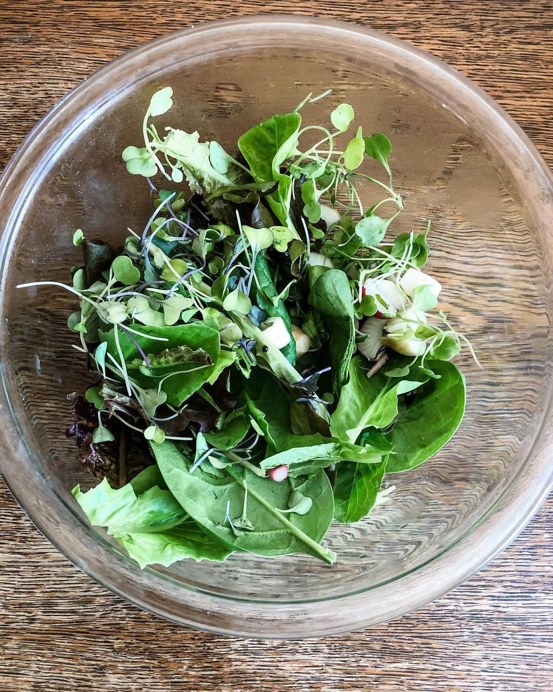 のインスタグラム：「私の庭かのレタスと大根🥬  First salad from my garden!」